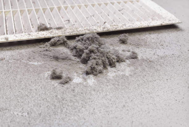 Best Affordable HVAC Duct Cleaning  in Seaford, DE